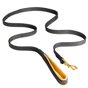 Saddlery Goods  Leather Dog Lead