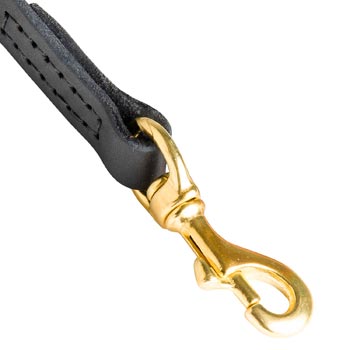 Saddlery Goods  Leather Dog Lead