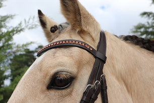 Saddlery Goods 6 MM RoseGold Diamonté Browband