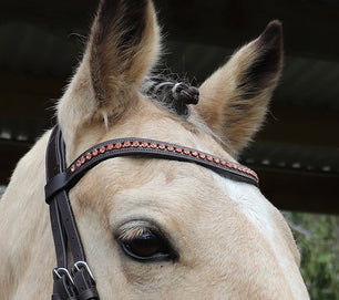 Saddlery Goods 6 MM RoseGold Diamonté Browband