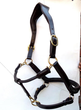 Saddlery Goods Pro Horse Leather Halter with 3 snap