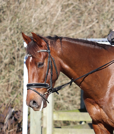 Saddlery Goods Braided Soft Leather Reins