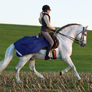 Saddlery Goods Horse Waterproof Exercise Sheet