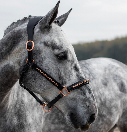 Saddlery Goods Rose Gold  Horse Leather Halter with Rose Gold Crystal