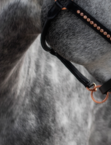 Saddlery Goods Rose Gold  Horse Leather Halter with Rose Gold Crystal