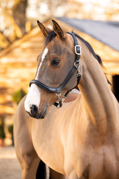 Saddlery Goods Special Leather Halter