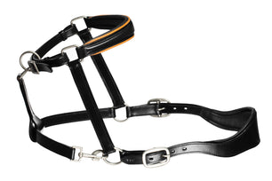 Saddlery Goods Vegetable Tanned Leather  Grooming Headcollar