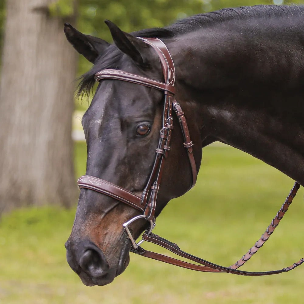 Saddlery Goods Padded Poll Relief Monocrown Bridle with Laced Reins