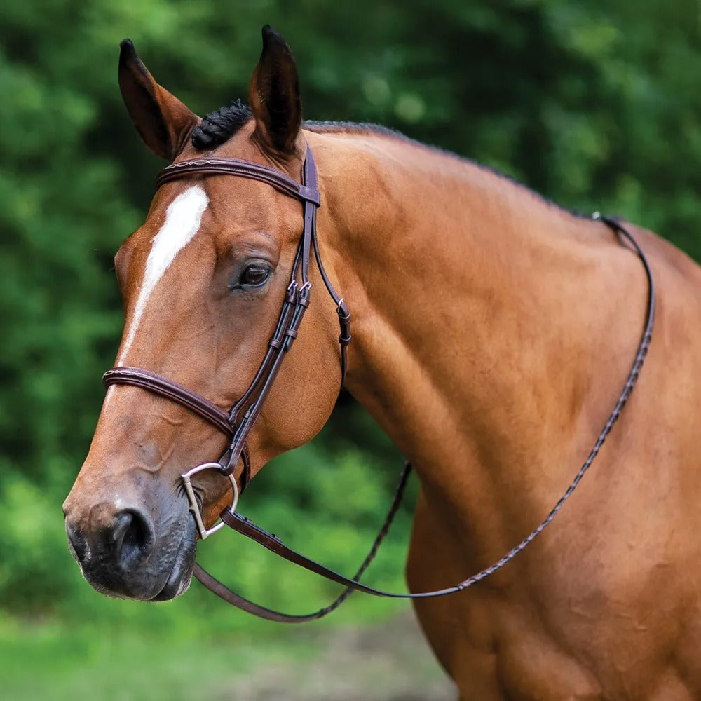 Saddlery Goods Fancy Raised Hunter/Jumping Bridle With Laced Reins Color Havan Brown