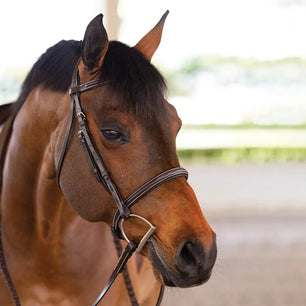 Saddlery Goods Fancy Raised Hunter/Jumping Bridle With Laced Reins Color Havan Brown