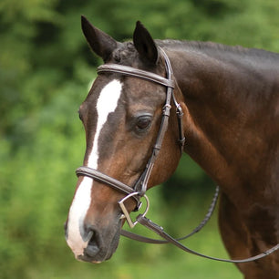 Saddlery Goods Comfort Pro Hunter Bridle with Laced Reins