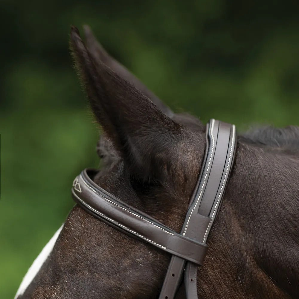 Saddlery Goods Comfort Pro Hunter Bridle with Laced Reins