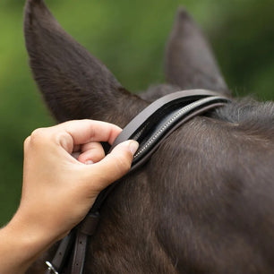 Saddlery Goods Comfort Pro Hunter Bridle with Laced Reins