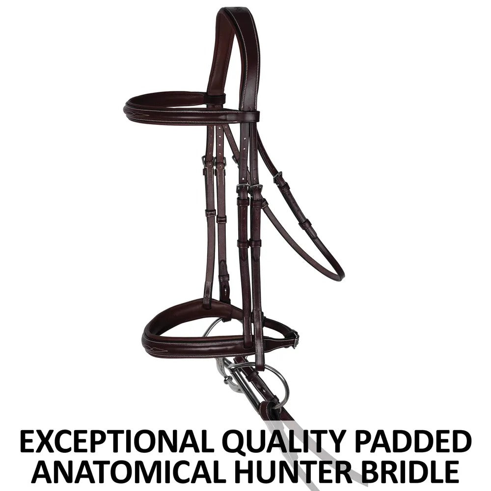 Saddlery Goods Anatomical Raised Padded Hunter Bridle with Fancy Stitching Exceptional Quality Padded Anatomical Hunter Bridle