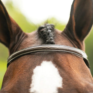 Saddlery Goods Pro Fancy Raised Hunter Bridle Traditional Desing With Laced Reins Hunter Bridle Classic, traditional design meets innovative features with the  Hunter Bridle