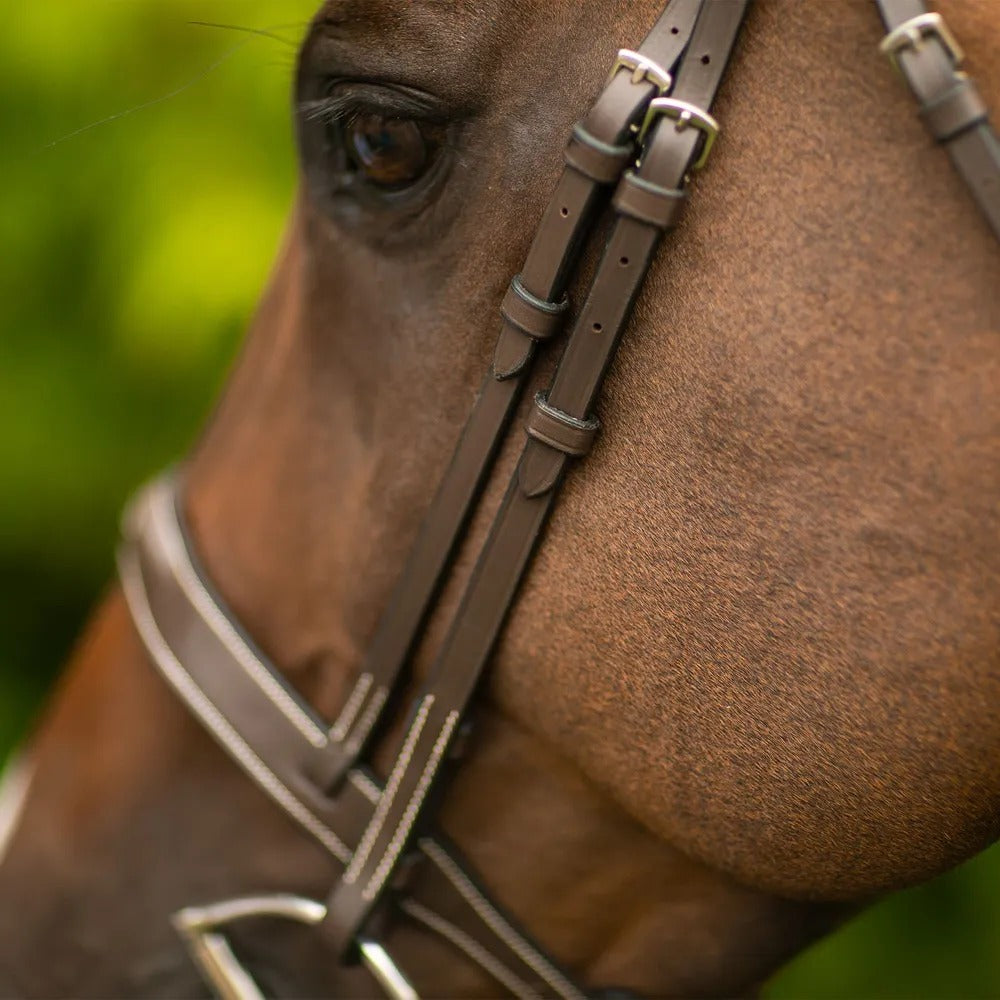 Saddlery Goods Pro Fancy Raised Hunter Bridle Traditional Desing With Laced Reins Hunter Bridle Classic, traditional design meets innovative features with the  Hunter Bridle