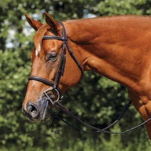 Saddlery Goods Raised Fancy Stitch Hunter Bridle with Free Reins