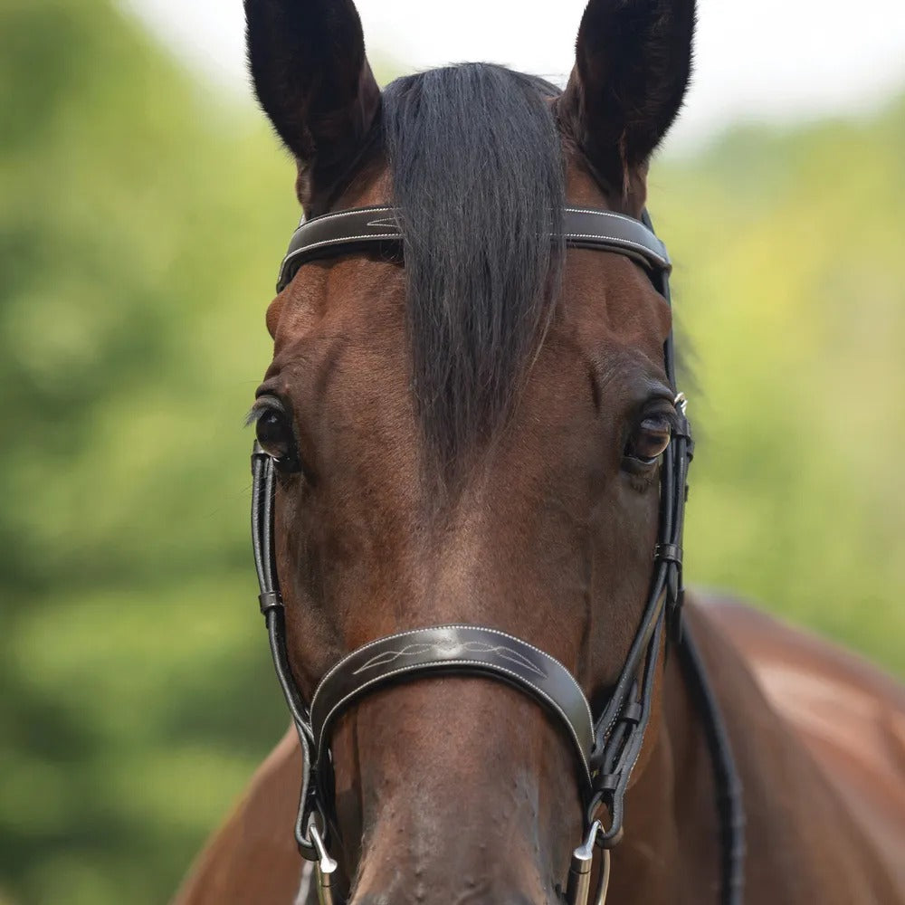 Saddlery Goods Flat Padded Hunter Bridle with White Fancy Stitching Exceptional Quality Flat, Padded Flat Hunter Bridle