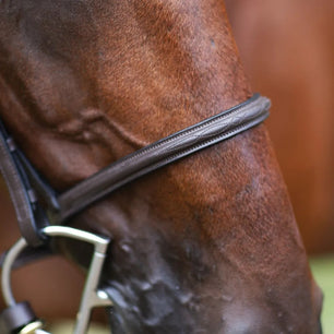 Saddlery Goods Raised Fancy Stitched Bridle