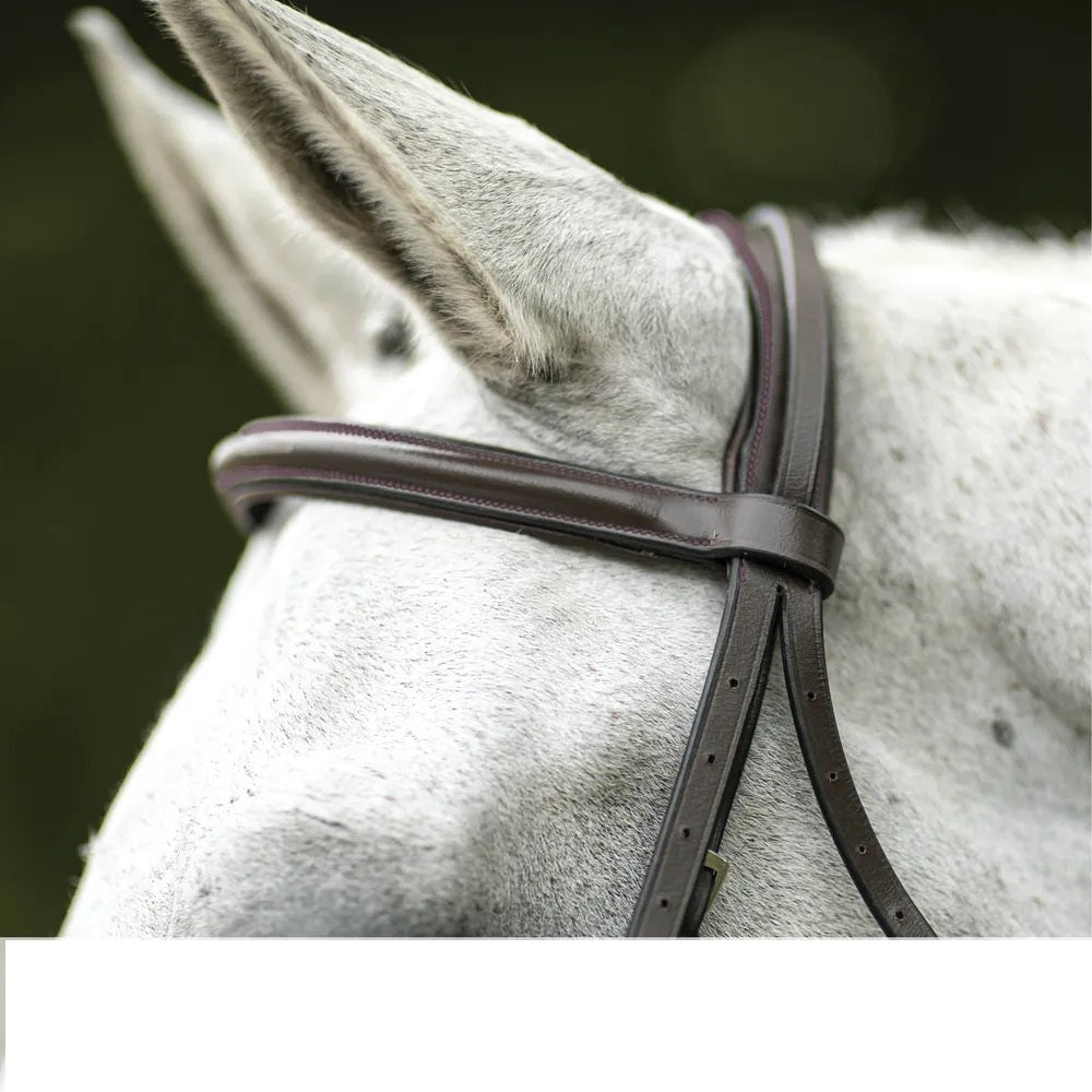 Saddlery Goods Comfort Pro Padded Fancy Stitch Hunter Bridle