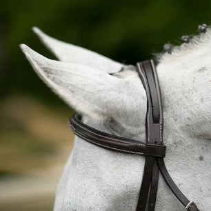 Saddlery Goods Pro Fancy Raised Comfort Crown Padded Bridle with Reins