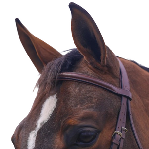 Saddlery Goods Chestnut Color Hunter Classic Snaffle Bridle with Laced Reins