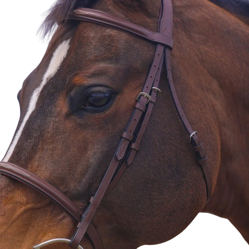 Saddlery Goods Chestnut Color Hunter Classic Snaffle Bridle with Laced Reins