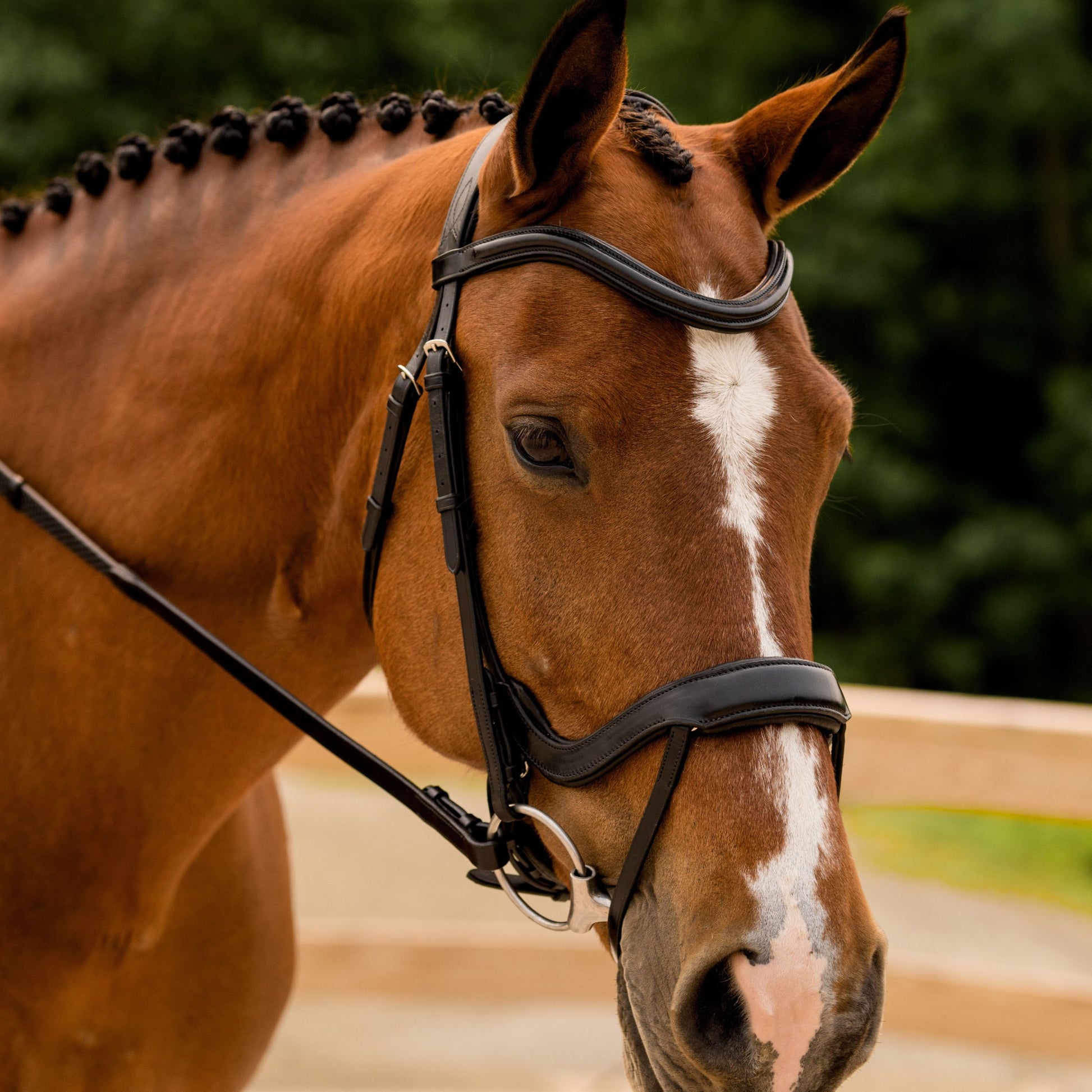 Sb-022 Saddlery Goods Dressage Anatomical Design Bridles Brown Color with Reins