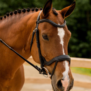 Sb-022 Saddlery Goods Dressage Anatomical Design Bridles Brown Color with Reins