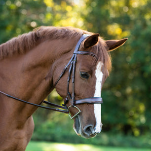 Sb-023 Saddlery Goods Dressage Horse Bridle Clear crystal browband With Reins Color Havana Brown