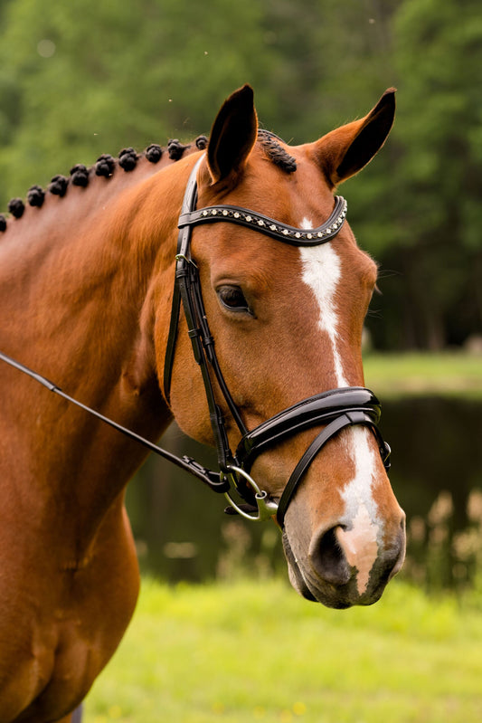 Sb-024 Saddlery Goods Stride Dressage Bridle Brown Color Leather