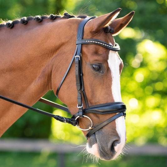 Sb-026 Saddlery Goods Flash Crank Noseband Horse Dressage Bridle