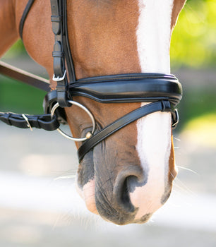 Sb-026 Saddlery Goods Flash Crank Noseband Horse Dressage Bridle