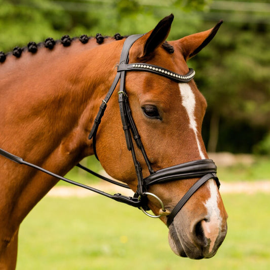 Sb-027 Saddlery Goods Anatomic Crownpiece comfort rolled Horse Bridle