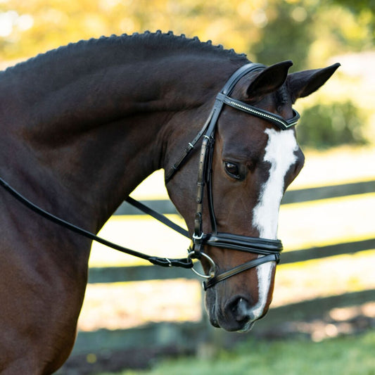 Sb-028 Saddlery Goods Bold Noseband Dressage Bridle “V” Shaped Crystal Browband with Reins Black Color