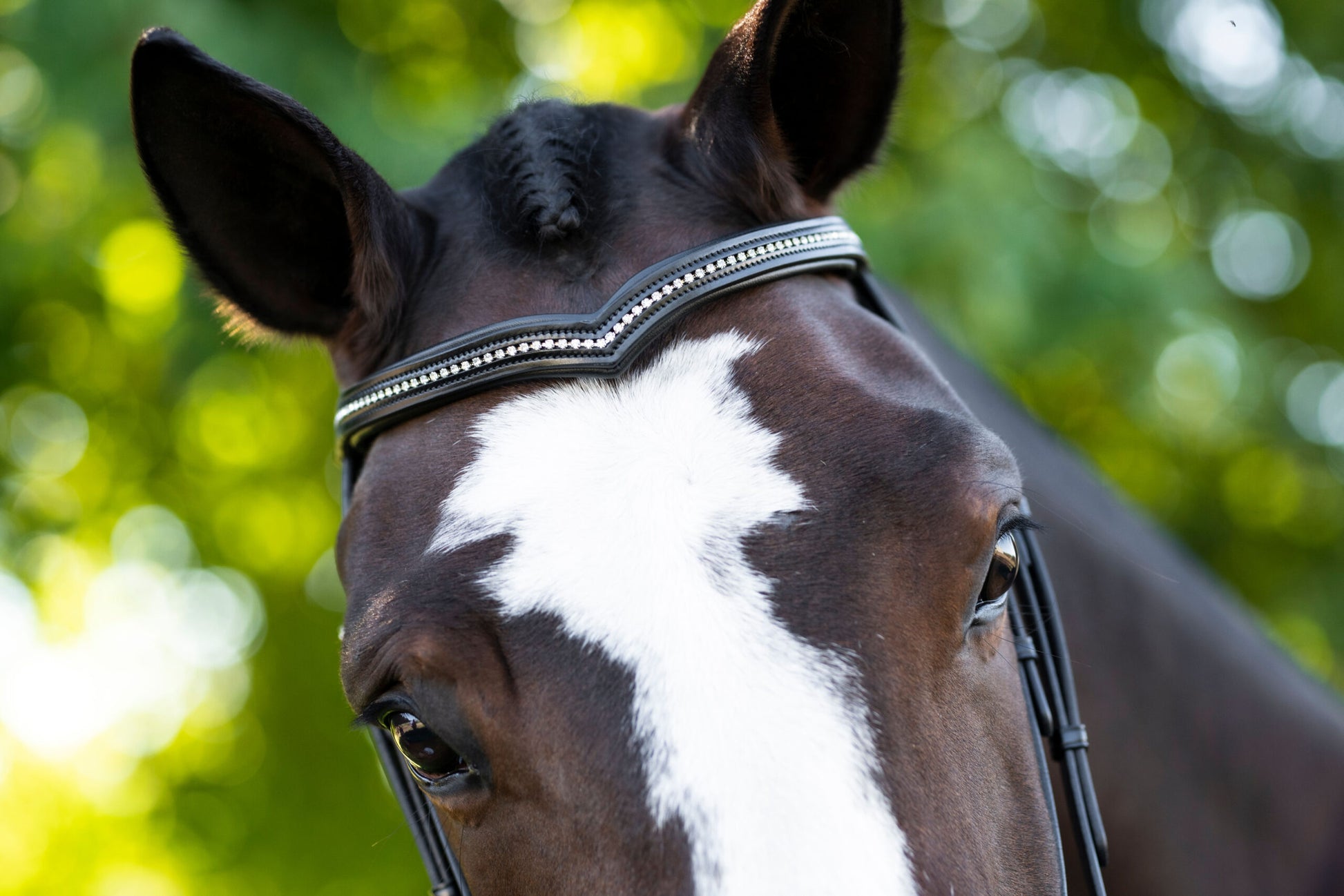 Sb-028 Saddlery Goods Bold Noseband Dressage Bridle “V” Shaped Crystal Browband with Reins Black Color