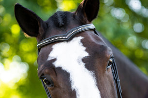 Sb-028 Saddlery Goods Bold Noseband Dressage Bridle “V” Shaped Crystal Browband with Reins Black Color