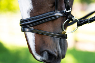 Sb-028 Saddlery Goods Bold Noseband Dressage Bridle “V” Shaped Crystal Browband with Reins Black Color