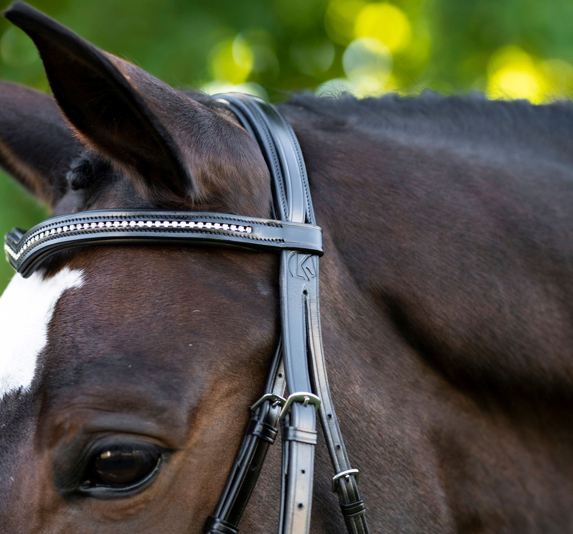 Sb-028 Saddlery Goods Bold Noseband Dressage Bridle “V” Shaped Crystal Browband with Reins Black Color