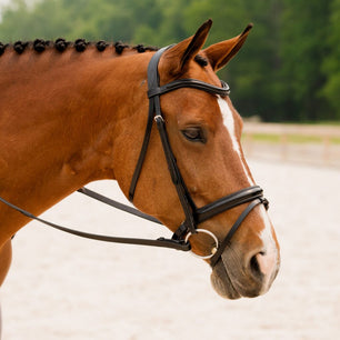 Sb-031 Saddlery Goods Dressage collection crank noseband Horse Bridle Color Havana Brown With Reins