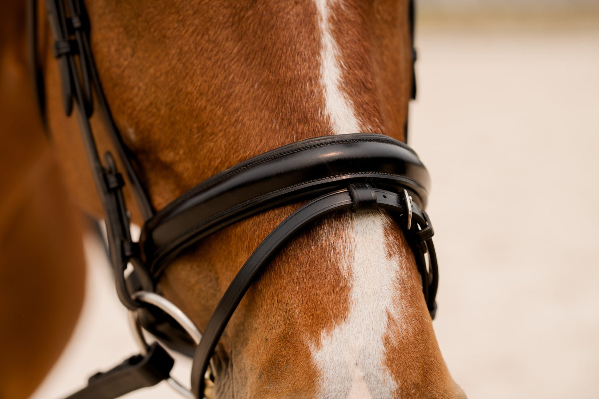 Sb-031 Saddlery Goods Dressage collection crank noseband Horse Bridle Color Havana Brown With Reins