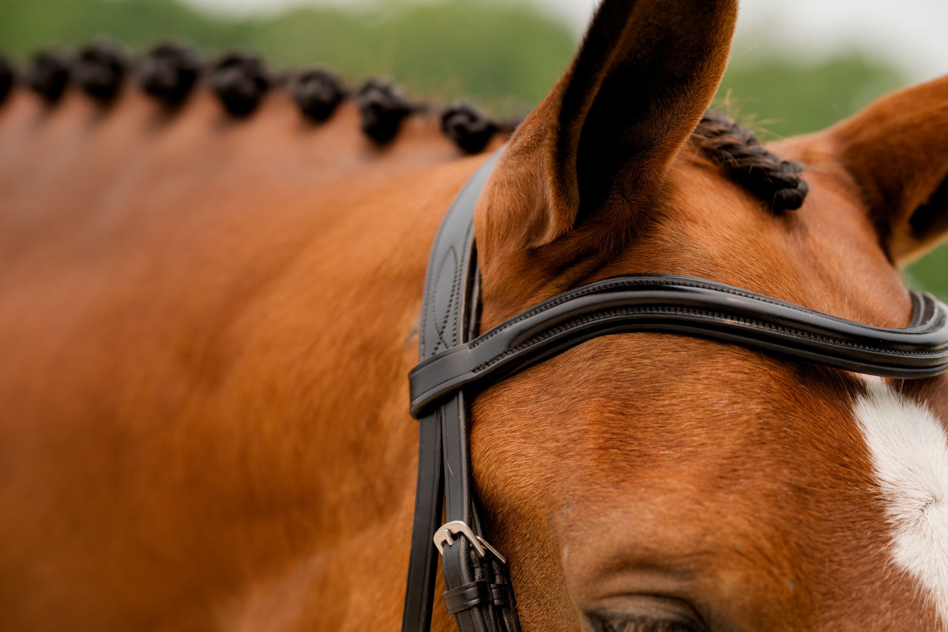 Sb-031 Saddlery Goods Dressage collection crank noseband Horse Bridle Color Havana Brown With Reins