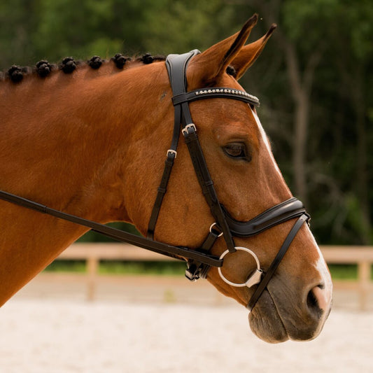 Sb-032 Saddlery Goods Addition Dressage Collection Horse Bridle Premium Vegetable Tanned Leather Free Reins