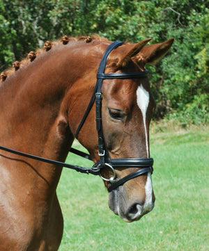 Sb-033 Saddlery Goods 1″ Padded Round raised Noseband Horse Dressage Bridle Black Color with Reins