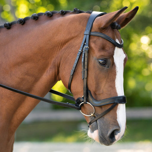 Sb-034 Saddlery Goods Ergonomic Horse Dressage Bridle Black Color with 3/4″ Dressage Reins