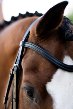 Sb-034 Saddlery Goods Ergonomic Horse Dressage Bridle Black Color with 3/4″ Dressage Reins