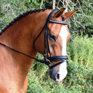 Sb-036 Saddlery Goods Black Color Dressage Horse Bridle with Clear Crystal Bling Browband