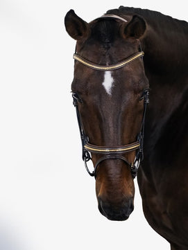 Sb-038 Horse Leather Bridle