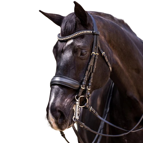 Sb-040 Saddlery Goods  Black Leather Double Bridle