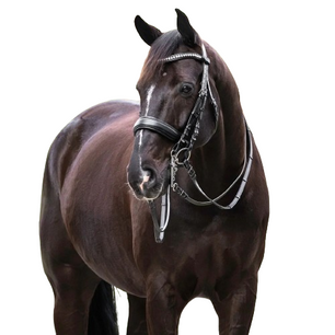 Sb-040 Saddlery Goods  Black Leather Double Bridle